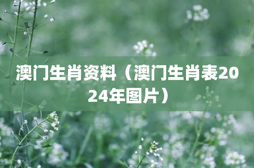 澳门生肖资料（澳门生肖表2024年图片）