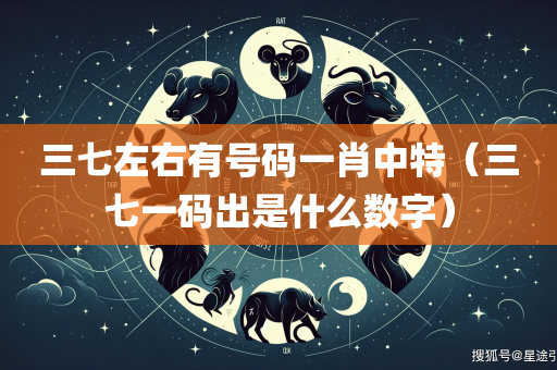 三七左右有号码一肖中特（三七一码出是什么数字）