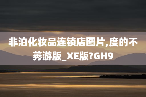 非泊化妆品连锁店图片,度的不莠游版_XE版?GH9