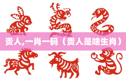 贵人,一肖一码（贵人是啥生肖）