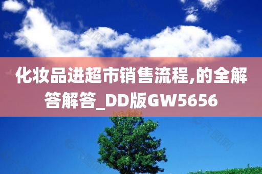 化妆品进超市销售流程,的全解答解答_DD版GW5656