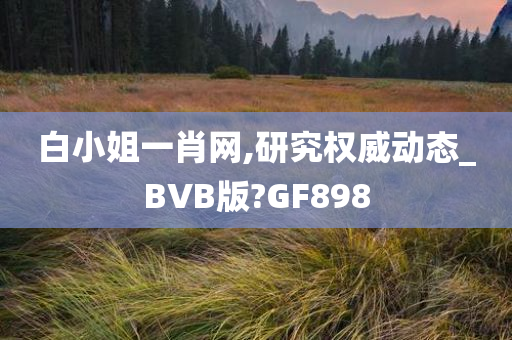 白小姐一肖网,研究权威动态_BVB版?GF898