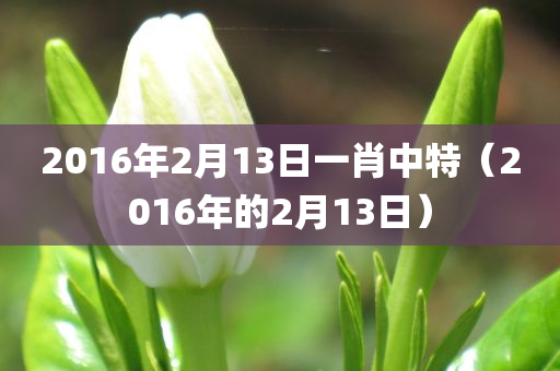 2016年2月13日一肖中特（2016年的2月13日）