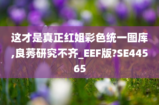 这才是真正红姐彩色统一图库,良莠研究不齐_EEF版?SE44565