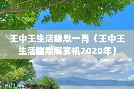 王中王生活幽默一肖（王中王生活幽默解玄机2020年）