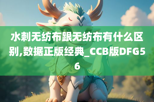 水刺无纺布跟无纺布有什么区别,数据正版经典_CCB版DFG56