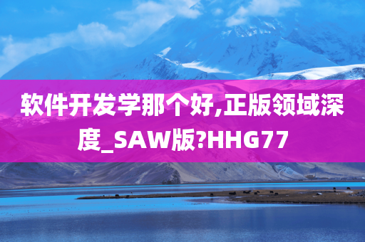 软件开发学那个好,正版领域深度_SAW版?HHG77