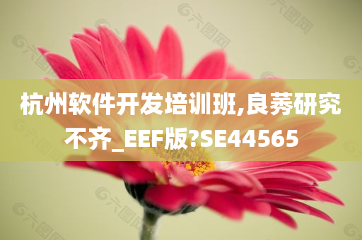 杭州软件开发培训班,良莠研究不齐_EEF版?SE44565