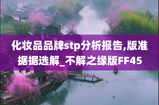 化妆品品牌stp分析报告,版准据据选解_不解之缘版FF45