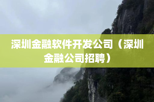 深圳金融软件开发公司（深圳金融公司招聘）