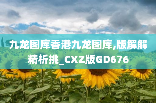 九龙图库香港九龙图库,版解解精析挑_CXZ版GD676