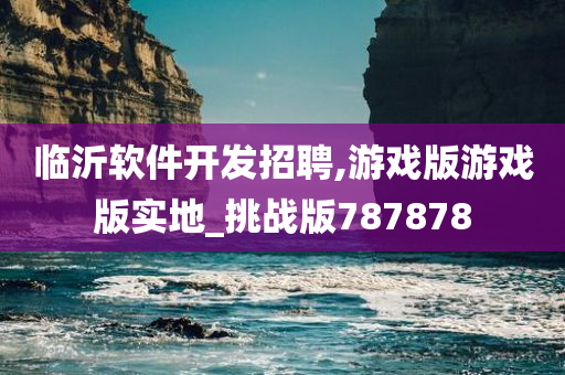 临沂软件开发招聘,游戏版游戏版实地_挑战版787878