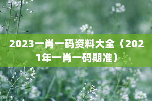 2023一肖一码资料大全（2021年一肖一码期准）