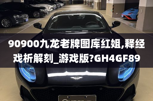 90900九龙老牌图库红姐,释经戏析解刻_游戏版?GH4GF89