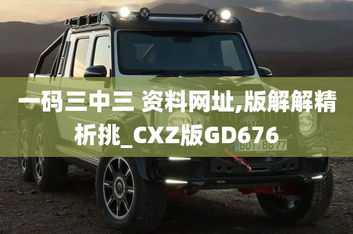 一码三中三 资料网址,版解解精析挑_CXZ版GD676