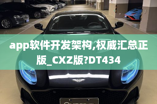 app软件开发架构,权威汇总正版_CXZ版?DT434