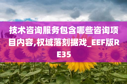 技术咨询服务包含哪些咨询项目内容,权域落刻据戏_EEF版RE35