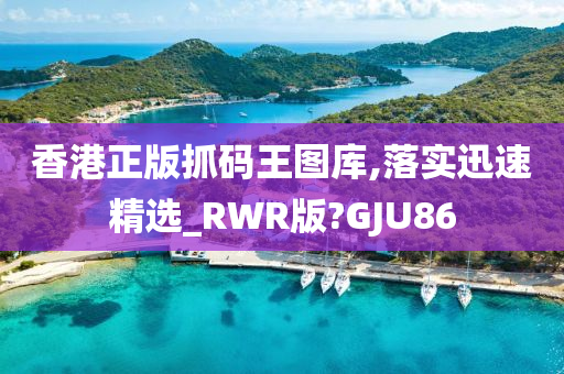 香港正版抓码王图库,落实迅速精选_RWR版?GJU86