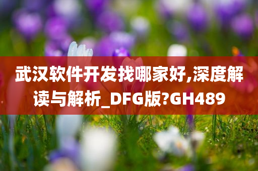 武汉软件开发找哪家好,深度解读与解析_DFG版?GH489