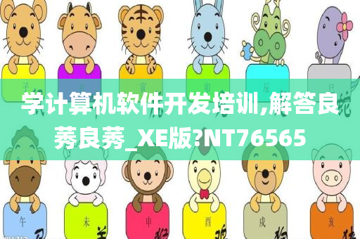 学计算机软件开发培训,解答良莠良莠_XE版?NT76565