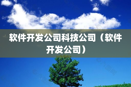 软件开发公司科技公司（软件开发公司）