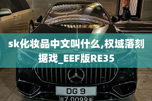 sk化妆品中文叫什么,权域落刻据戏_EEF版RE35