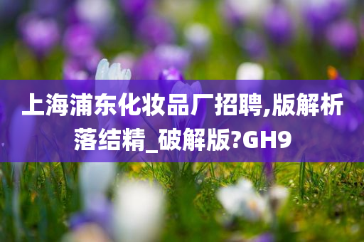 上海浦东化妆品厂招聘,版解析落结精_破解版?GH9