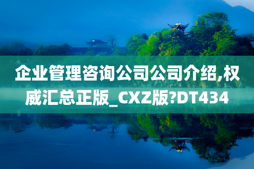 企业管理咨询公司公司介绍,权威汇总正版_CXZ版?DT434