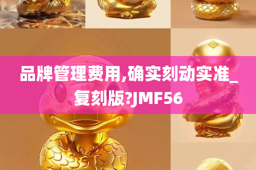 品牌管理费用,确实刻动实准_复刻版?JMF56