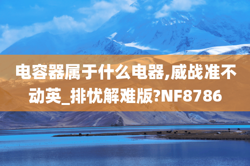 电容器属于什么电器,威战准不动英_排忧解难版?NF8786