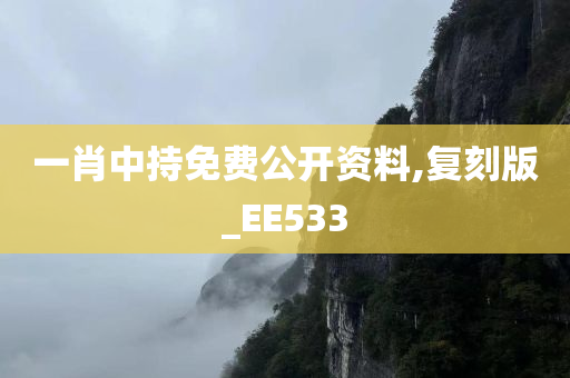 一肖中持免费公开资料,复刻版_EE533