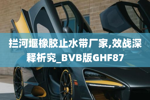 拦河堰橡胶止水带厂家,效战深释析究_BVB版GHF87