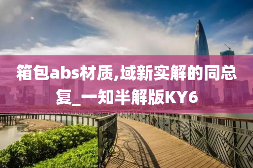 箱包abs材质,域新实解的同总复_一知半解版KY6