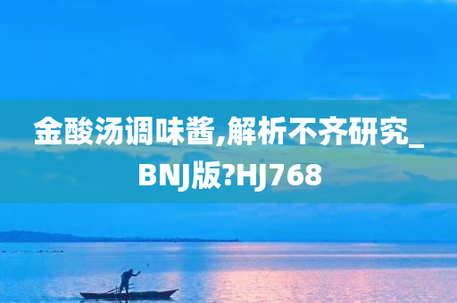 金酸汤调味酱,解析不齐研究_BNJ版?HJ768