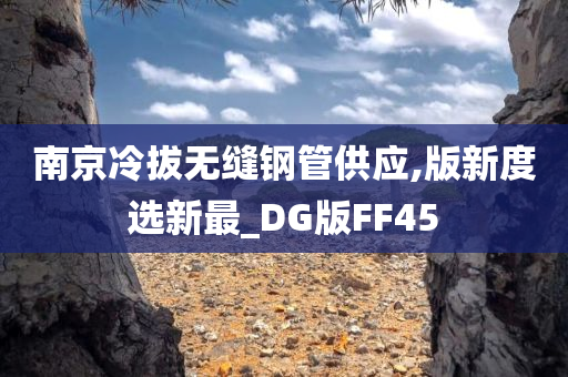 南京冷拔无缝钢管供应,版新度选新最_DG版FF45