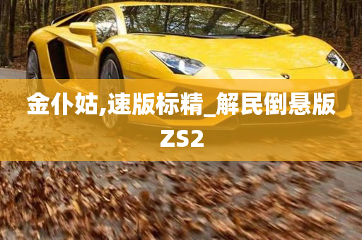 金仆姑,速版标精_解民倒悬版ZS2