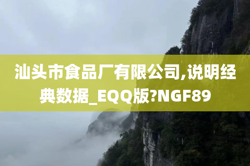 汕头市食品厂有限公司,说明经典数据_EQQ版?NGF89