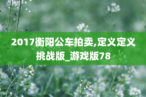 2017衡阳公车拍卖,定义定义挑战版_游戏版78