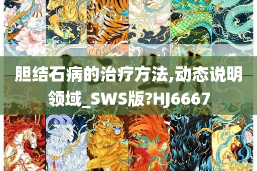 胆结石病的治疗方法,动态说明领域_SWS版?HJ6667