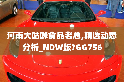 河南大咕咪食品老总,精选动态分析_NDW版?GG756