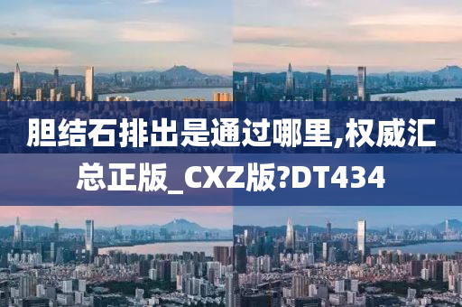 胆结石排出是通过哪里,权威汇总正版_CXZ版?DT434