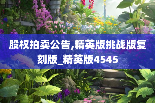 股权拍卖公告,精英版挑战版复刻版_精英版4545