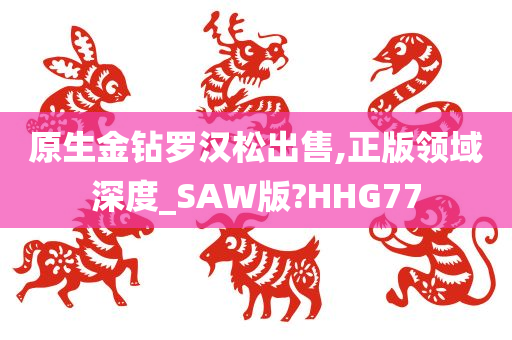 原生金钻罗汉松出售,正版领域深度_SAW版?HHG77