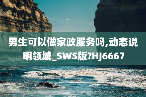 男生可以做家政服务吗,动态说明领域_SWS版?HJ6667