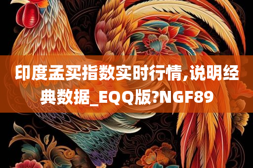 印度孟买指数实时行情,说明经典数据_EQQ版?NGF89