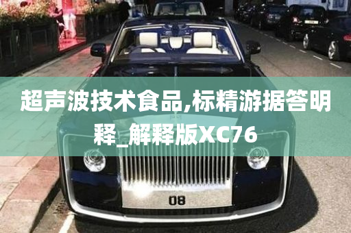 超声波技术食品,标精游据答明释_解释版XC76