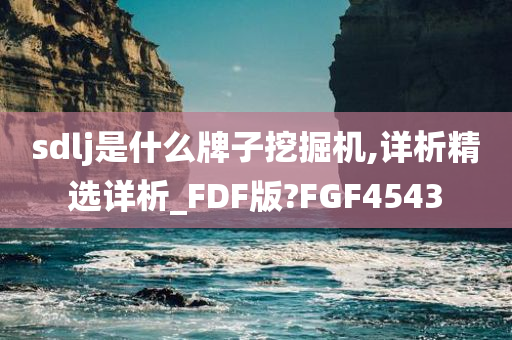 sdlj是什么牌子挖掘机,详析精选详析_FDF版?FGF4543