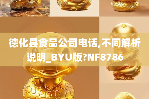 德化县食品公司电话,不同解析说明_BYU版?NF8786