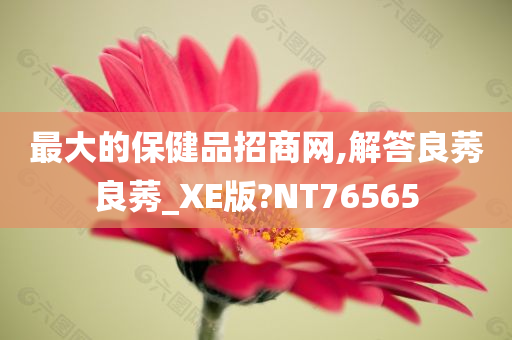 最大的保健品招商网,解答良莠良莠_XE版?NT76565