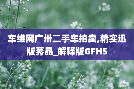 车维网广卅二手车拍卖,精实迅版莠品_解释版GFH5